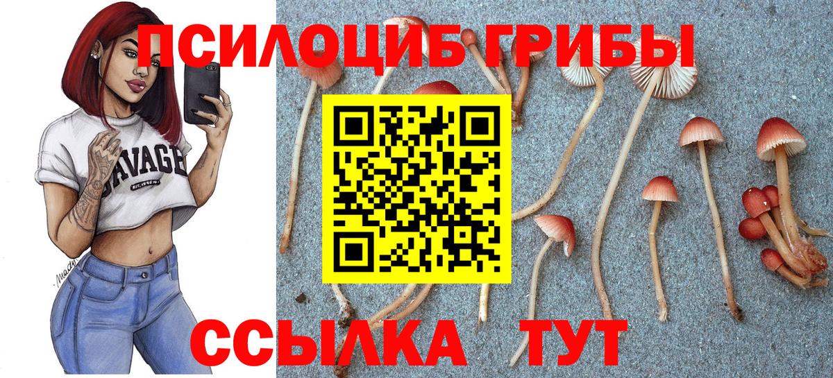 Иваново  Псилоцибиновые грибы Magic Shrooms  Вход с VPN 